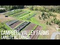 Christmas Tree Farm Turned Market Garden