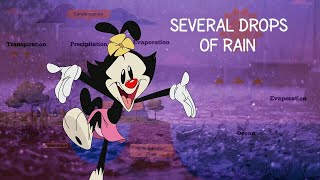 Watch Animaniacs Several Drops Of Rain video