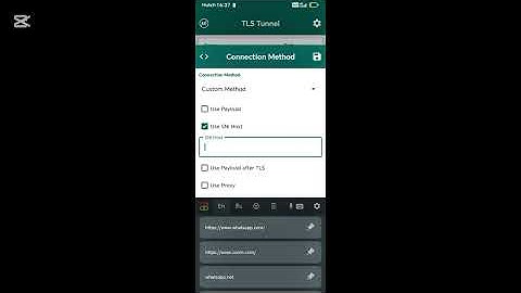 free Internet Access Tls Tunnel Vpn Setup step by step explain video 