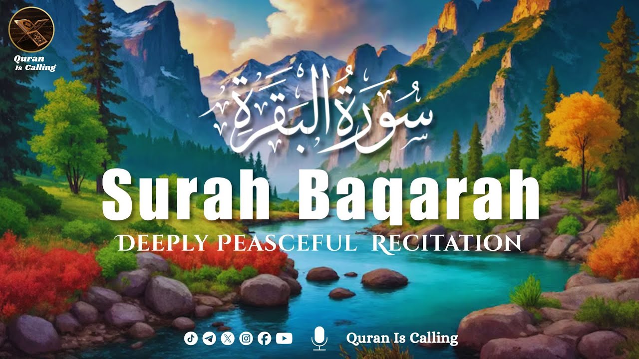 Surah Baqarah (Al-Baqarah) سورة البقرة | Deep Sleep Healing Heart Touching Quran Recitation