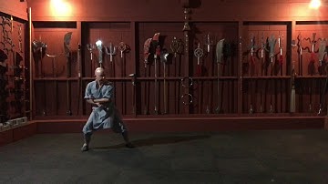 Shaolin Bao quan / leopard/lineage-marco Pallassini-master Shi Xing Xue