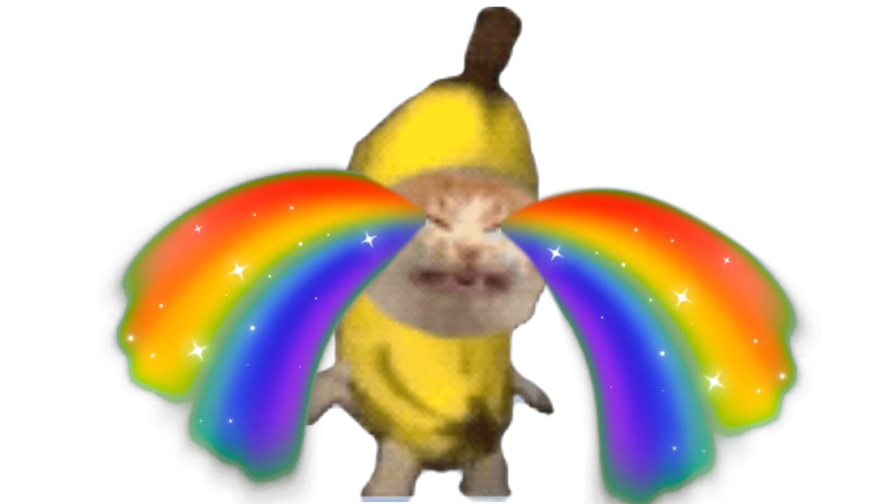 Happy Cat Tiktok Compilation #1 | XoSen7 - YouTube