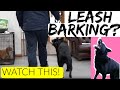 Leash aggressive german shepherd- My dog barks at other dogs only on leash