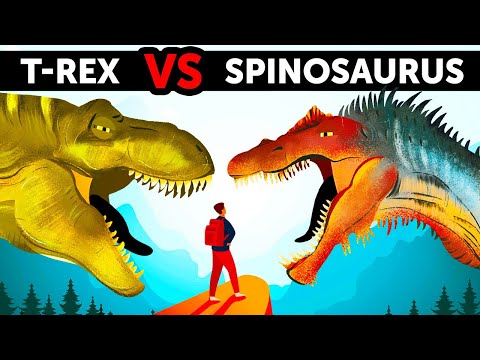 Video: Mana yang lebih besar carcharodontosaurus vs giganotosaurus?