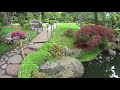 London UK : Holland Park,Kyoto and Dutch Gardens.