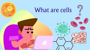 Science: Cells: The Building Blocks of Life | Class 6 Students | Introduction to Cells