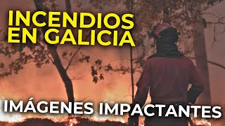 🔴 INCENDIOS en GALICIA: SIETE ACTIVOS con casi 68.000 las hectáreas afectadas