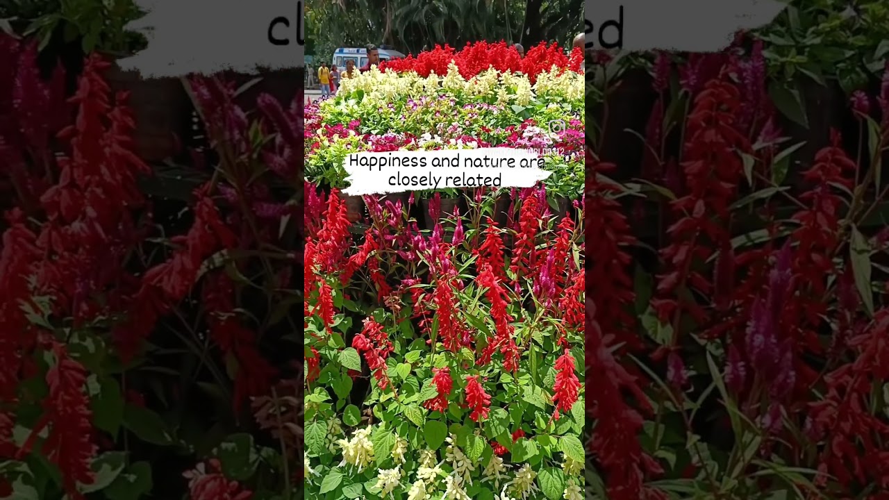 Mohabbatein- love theme instrumental  | Flowers| love song 