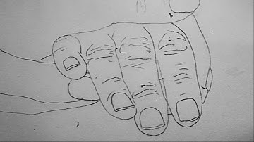 Linda Sterry on Harriet Perkins