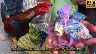 Lalukhet Exotic Parrots Birds Hen and Rooster Market 17-12-2023 Part 1| أكبر سوق الطيور في كراتشي