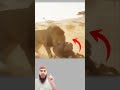 فجأة انقلب الهدوء إلى فوضى قفز الأسد فوق السيارة كأن الأرض لفظت وحشها 