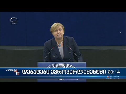 რეზოლუციის მიღებამდე ევროპარლამენტში დებატები გაიმართა