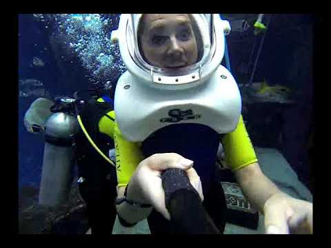 Experience of Aqua Trek at Atlantis, Dubai
