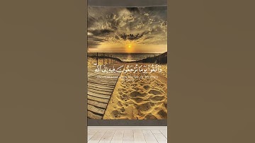 سورة البقرة الشيخ خالد الجليل