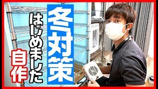 【厳しい季節】爬虫類の冬対策 メタルラックを自作で温室にしてみたらすごかった！！【おすすめ】