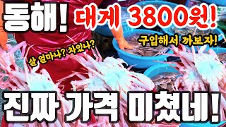 묵호항@대게 3800원! 진짜 가격 미쳤네! 살 얼마나? 차있나? 구입해서 까볼게요! #시장 #먹방 #폭락 #먹거리 #할인 #요리 #음식 #수산물 #해산물 #오염수 by 워커제이WALKER.J 65,376 views 3 months ago 12 minutes, 53 seconds