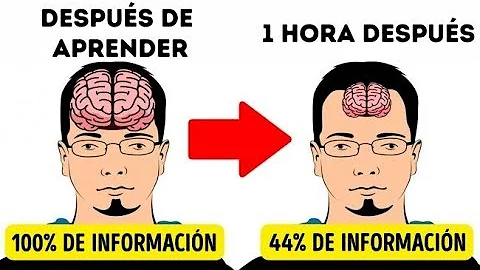 ¿Cuántos números puede recordar una persona?