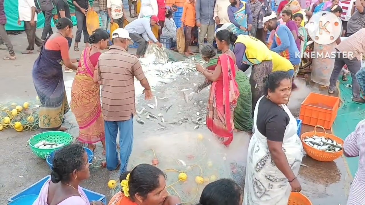 India Karnataka Udupi Malpe fishing