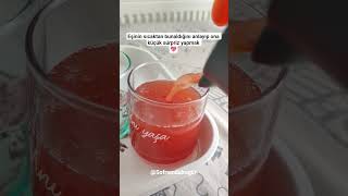 Evde Meyve Suyu Şerbet Nasıl Yapılır?