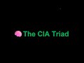 🧠The CIA Triad