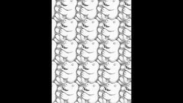 Translation Tessellation