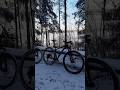 Зимний велосипед в Ленинградской области  зима Питер #garmin #mtb #strava #cycling #триатлон #suunto