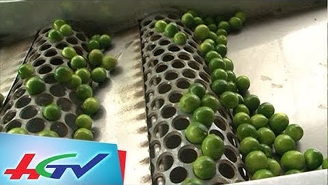 Tiềm năng kêu gọi đầu tư vào 3 cụm công nghiệp | HẬU GIANG XÚC TIẾN ĐẦU TƯ - 4/8/2017