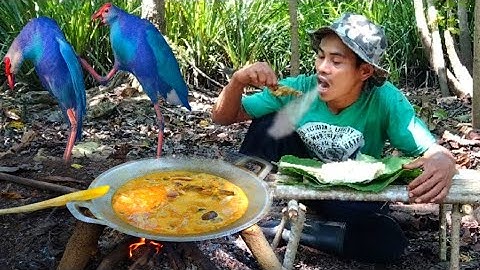 Solo Hunting And Cooking‼️SeeeDap Berburu Burung Langsung Masak | Mandar Biru