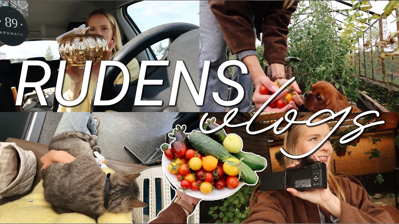 Izmēģinu jauno kameru, Mikija veselības updeits, Pepco & Asos haul's 🍂 | VLOGS