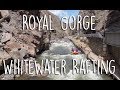 The royal gorge whitewater rafting  american adventure expeditions
