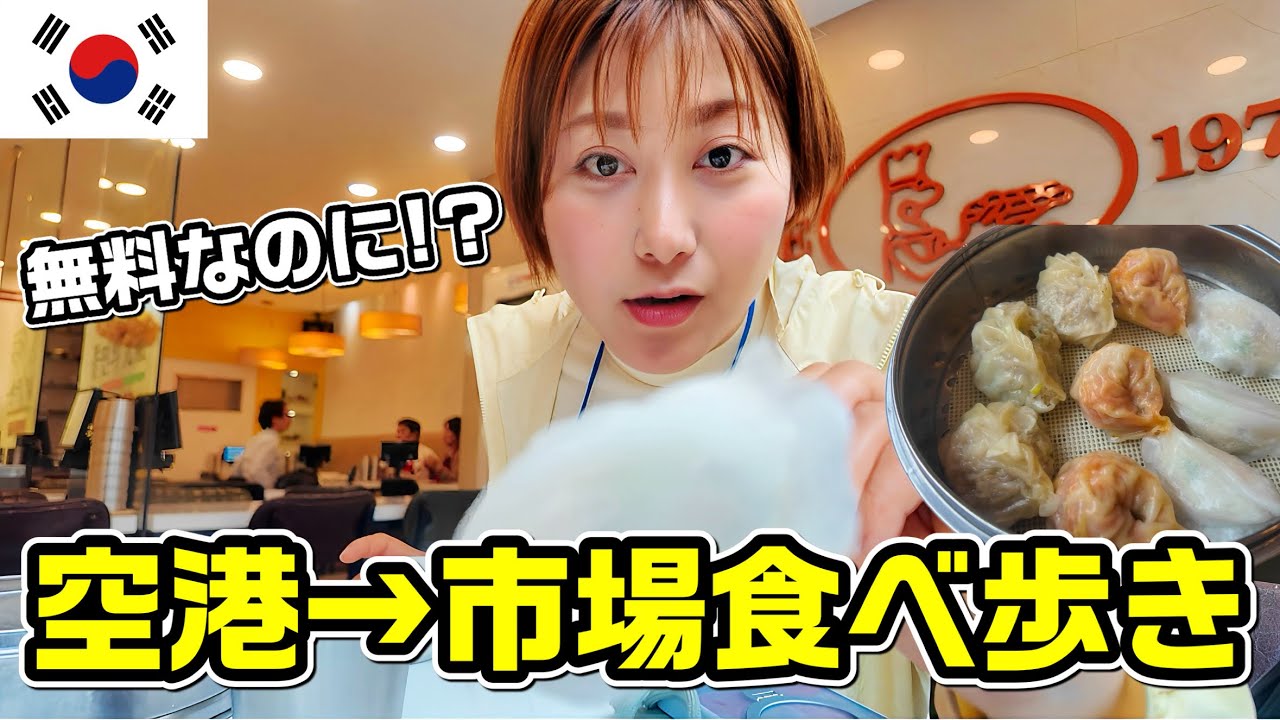 【無料】仁川空港トランジットツアーに参加してみたら空港から弾丸市内観光できた！