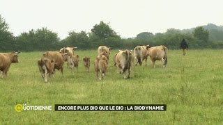 Encore plus bio que bio : la biodynamie