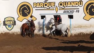 MELHORES MOMENTOS DO 2° DIA CLASSIFICAÇÃO PROFISSIONAL PARQUE QUANDÚ | VAIDEBET PORTAL 2023