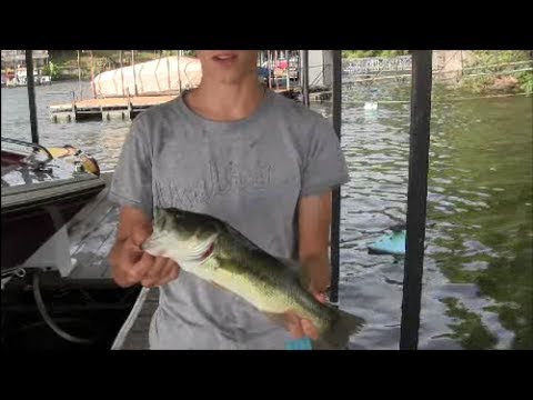 YoYo- Automatic fishing Reel- The Catch 