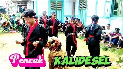 SENI PENCAK TRADISIONAL