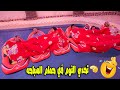 تحدي 24ساعة⏱️في حمام السباحة🏊🏼‍♂️(فكرة مجنونه😜)