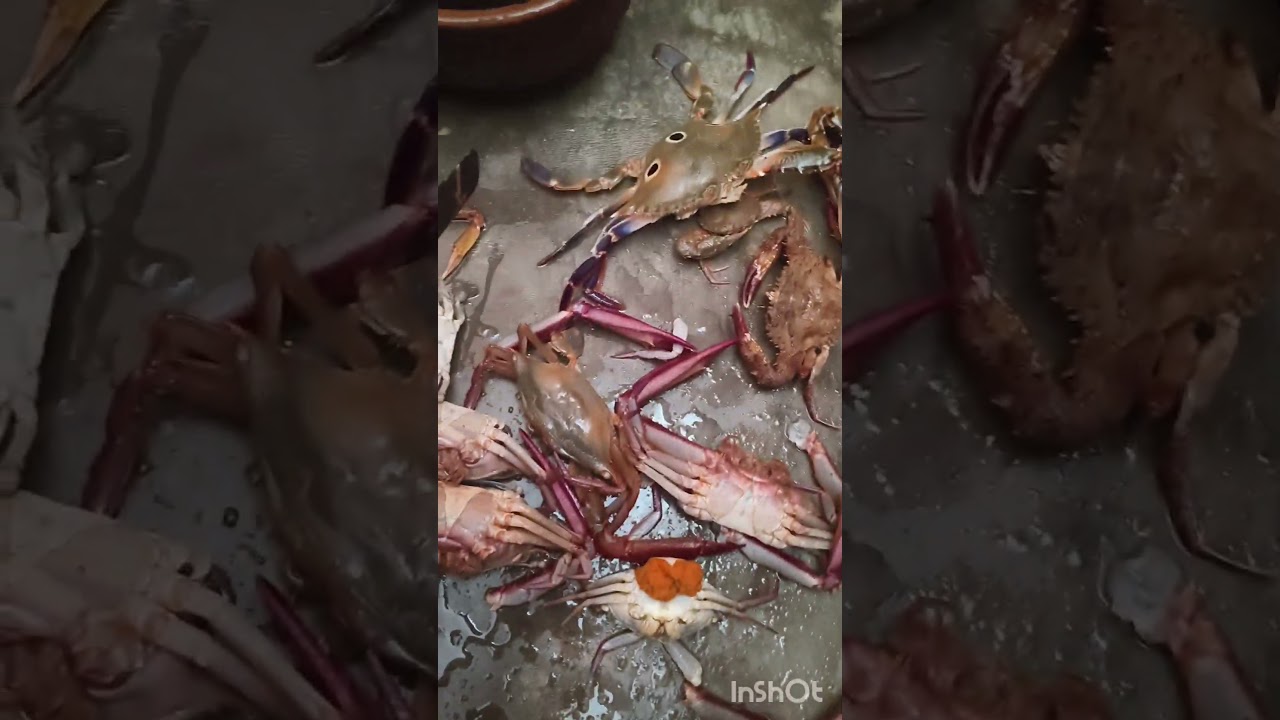 இன்று என் வீட்டில் நட்டு குழம்பு #super song#ytshorts #crab fry #tamilsong #food #அதிகாரம்2