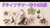 押し花乾燥シートの失敗例と注意点 標本風押し花フレーム Youtube