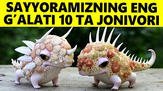 Sayyoradagi Eng G'alati 10 Ta Jonivor