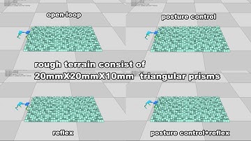 Trotting Locomotion Control for Quadruped Robot with an Active Spine over Rough Deformable Terrain
