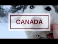 CANADA: Iditarod Dog Sled Training Adventure