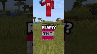 What If Minecraft Had a TNT Update? | Mod is Lucky TNT Mod (Too Much TNT) by Fleshcrafter_ screenshot 1