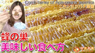 無添加！蜂の巣の作り方と美味しい食べ方【ニホンミツバチ養蜂家の巣蜜】