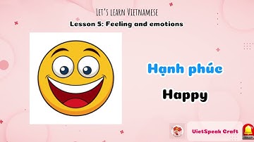 Learn Vietnamese for beginner | Lesson 5: Feeling and emotions