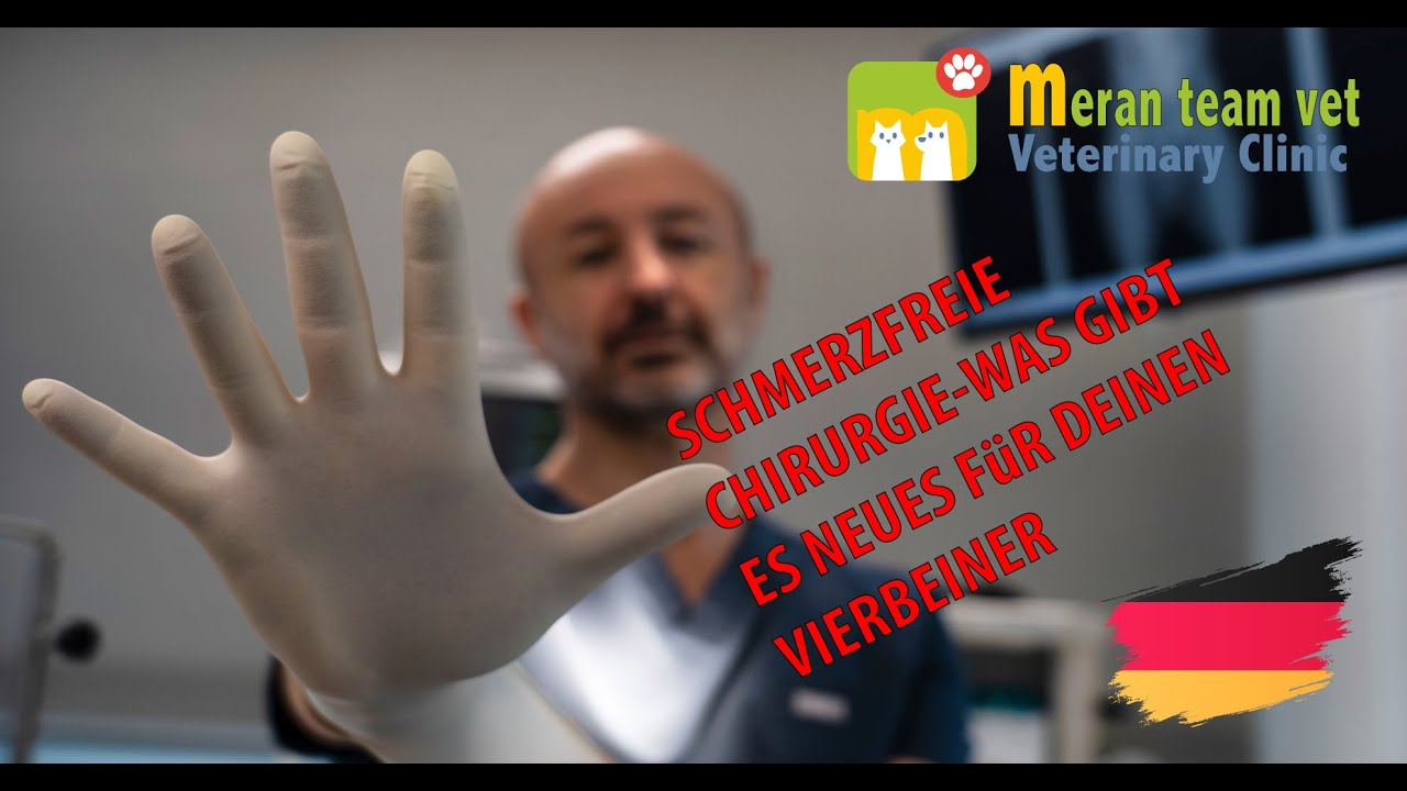 28 - Schmerzfreie chirurgie was gibt es neues für deinen vierbeiner