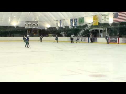 Goalie Hitting Player at Youth Hockey Game