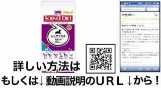 サイエンスダイエット シニアライト 小粒 肥満傾向の高齢犬用 格安&無料価格でGETする方法を期間限定で紹介中