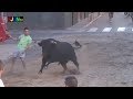 8 Toros Fiestas Sant Xotxim 2013 - Nules (Castellon) Bous al Carrer [Toros FJGNtv]