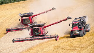 XXL HARVEST 2023 in FRANCE! 😱 2x AXIAL 8250 + 2x QUADTRAC 620 ! 100% CASE IH 😍