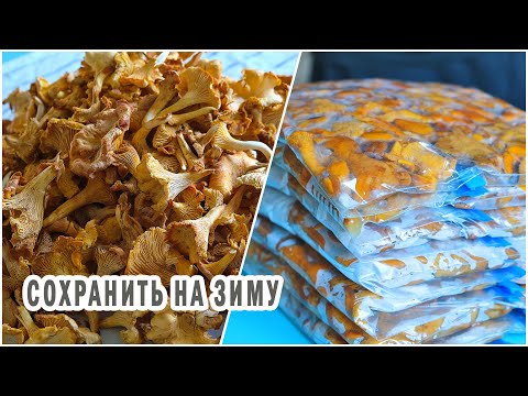 Заморозить лисички на зиму (Любимый способ) | How I Freeze fresh chanterelles